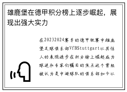 雄鹿堡在德甲积分榜上逐步崛起，展现出强大实力